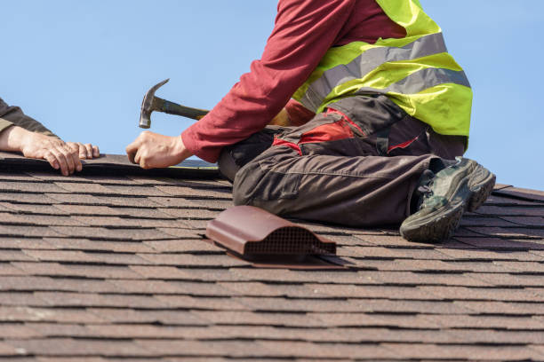 Best Roof Gutter Cleaning  in Ridgemark, CA